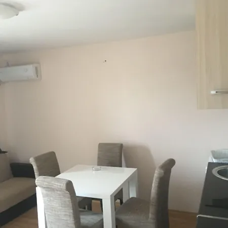 Palace De Luxe 3* Поморие